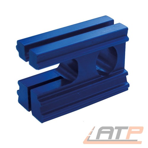 BGS